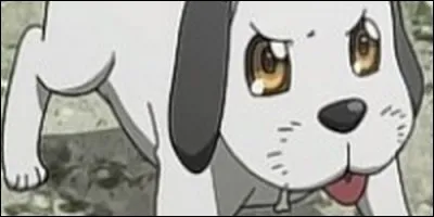 Comment s'appelle le petit chien qui alerte Takashi et sa bande de l'attaque des zombies sur la personne de Alice ?