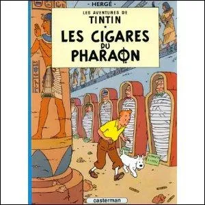 ''Les Cigares du pharaon'' : Perdu dans la jungle, comment Tintin arrive-t-il à communiquer avec les éléphants ?