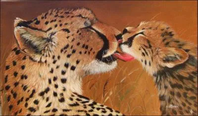 Combien de gupards reste-il en Afrique ?