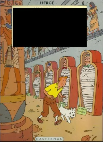 Quel est le nom de cet album de Tintin ?
