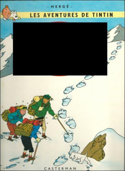 Quel est le nom de cet album de Tintin ?