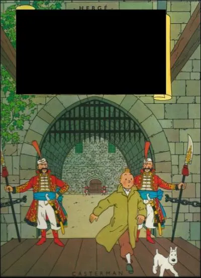 Quel est le nom de cet album de Tintin ?