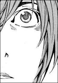 Lorsqu'un humain crit le nom d'une personne dans le Death Note, il en retire les mmes avantages que les dieux de la mort.