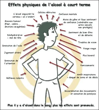 Quels sont les effets d'une consommation abusive d'alcool ?