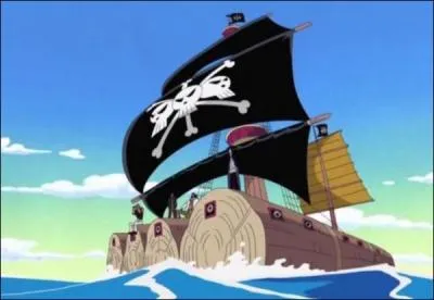  quelle occasion peut-on voir ce radeau ?