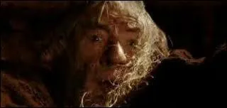 Et l, qu'est-ce qu'il dit aux autres membres de la communaut de l'anneau ?