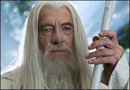 Qui interprte ce magicien ?