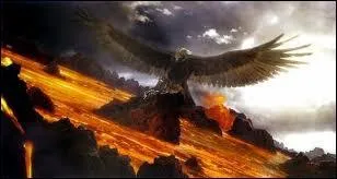 Quel est le nom de cet aigle gant ?