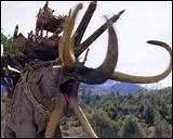 Qu'est-ce que c'est ?