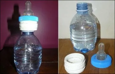 Quelle est la particularit de cette ttine ?