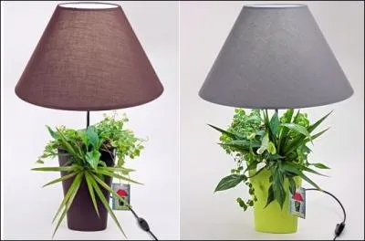 Quelle est la particularit de la lampe 'Lumipouss' ?