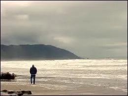 Qui chantait 'Toute seule sur cette plage, pauvre petite fille riche... ?