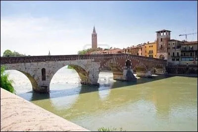 Quel est le nom du fleuve qui prend sa source aux limites de la Suisse et de l'Autriche et se jette dans l'Adriatique aprs avoir arros Vrone ?