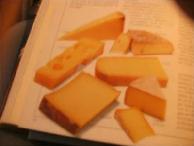Un de ces fromages n'est pas fabriqu avec du lait de vache. Lequel ?