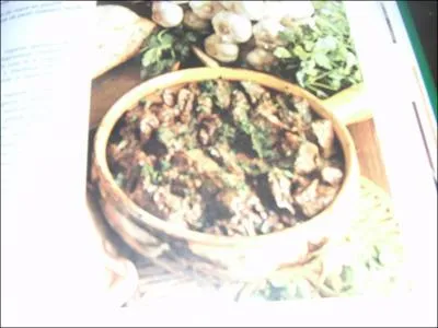 Comment s'appelle la gourmandise des Romains orgiaques dans 'Astrix en Helvtie' ?