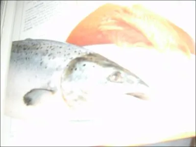 Le fugu est un poisson trs apprci en cuisine au Japon. Quelle est sa particularit ? Il 