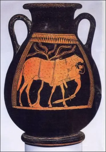 Qui est cach sous ce mouton ?