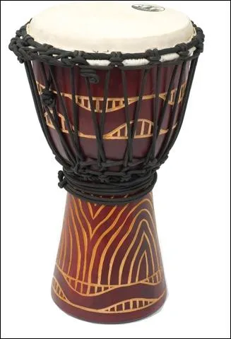 Comment s'appelle cet instrument de musique ?