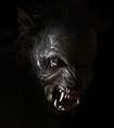 Quiz Teen wolf