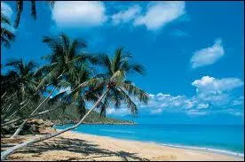 Saint Thomas les vierges (aux Antilles) est la ville natale de :