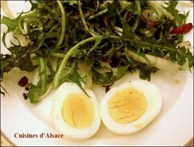 Durant quelle saison de l'anne peut - on consommer le pissenlit en salade ?