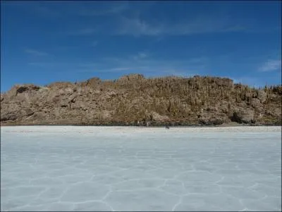Quelle 'pseudo-le', couverte de cactus est isole au milieu du Salar ?