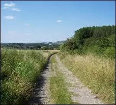 Qu'est-ce qu'un chemin vicinal ?