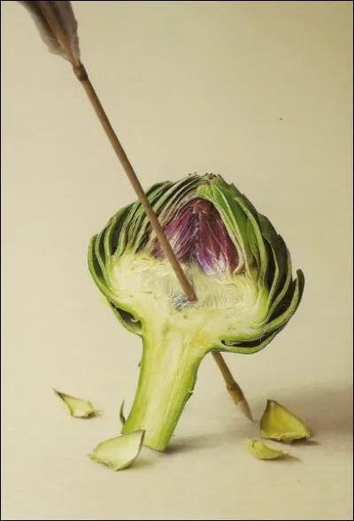 Que reprsente cette photo ?