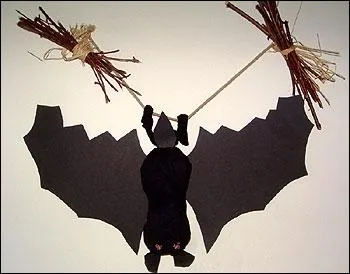 Je passe ma vie suspendu  l'envers, je me dplace lentement. M'avez-vous reconnu ? (2 rponses au moins ! )