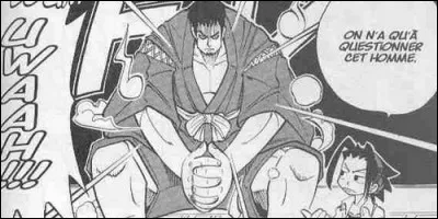 A qui appartenait le Harusame ?