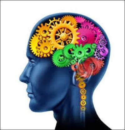 ''Il y a 3 sortes d'intelligence : l'intelligence humaine, l'intelligence animale et l'intelligence militaire.''