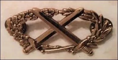 ''La guerre serait un bienfait si elle ne tuait que des professionnels.''