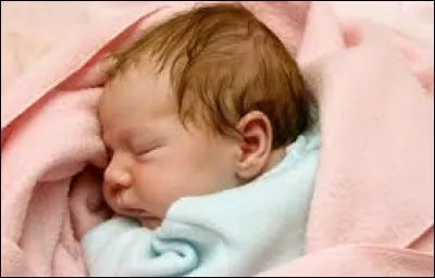 ''Dans l'humanité, la supériorité est accordée non au sexe qui engendre mais à celui qui tue.''