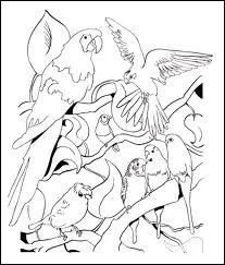 C'est une personne qui ne prend pas le mme chemin que les autres.