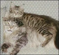 Quitter un lieu discrtement, c'est...