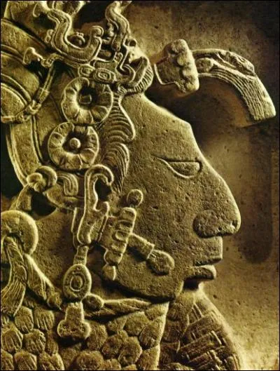 Les femmes nobles de cette civilisation se transperaient la langue avec une couronne d'pines de cactus pour rendre hommage au Soleil. Ce sont les rites de la saigne chez les :