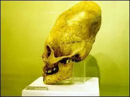 Au sein de quelle civilisation, dformait-on le crne des enfants nobles ds leur naissance ?