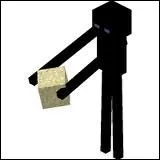Que fait un Enderman ?