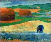 Qui a peint 'Le collectionneur d'algues' ?