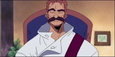 Où Luffy et son équipage rencontrent Jonathan, commandant de la Marine ?