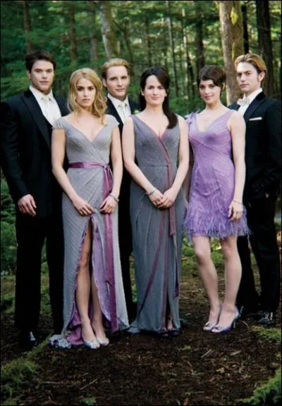 Que dit Emmett pour porter un toast au mariage ?