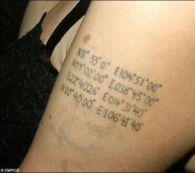 A qui appartient ce bras tatou ?