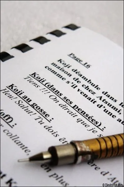 Bruno Nicolini a particip  l'criture des scnarios ;en fait c'est :