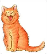 La minute du sourire : Quand un chat fait ses besoins dans le dsert, comment fait-il pour s'essuyer ?