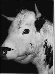 Avoir un air antipathique, renfrogn.