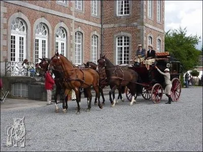 Pour dsigner un cheval destin  l'attelage, on entendait parfois les termes suivants :