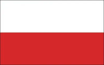 A quel pays correspond ce drapeau ?