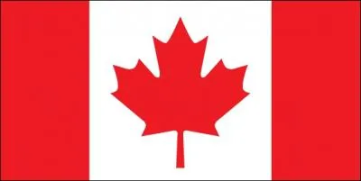 Quel pays a choisi ce drapeau ?