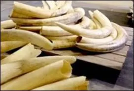 La statue d' ... . .