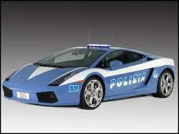 Quel pays utilise cette voiture de police ?